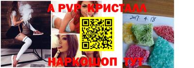 стаф Тара