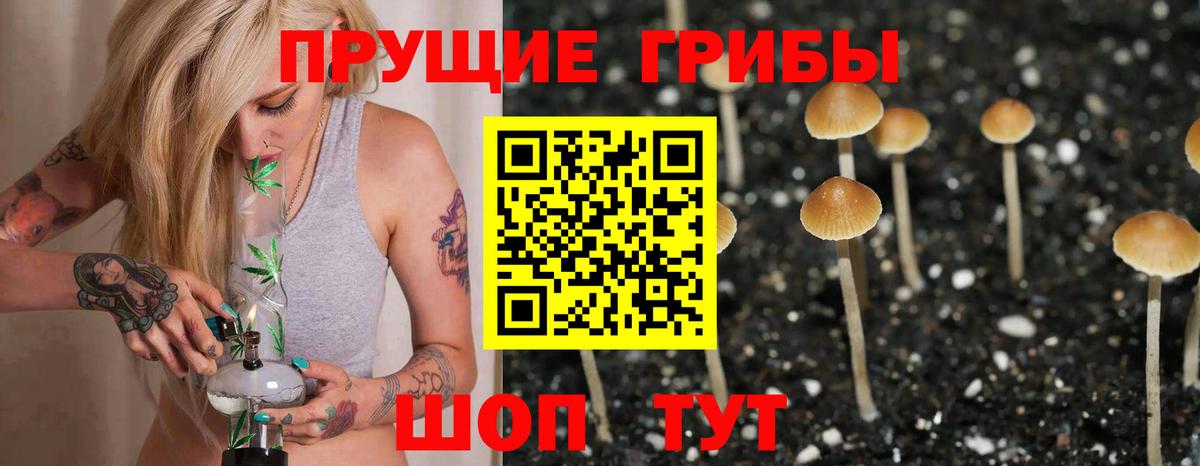 Псилоцибиновые грибы прущие грибы  Псилоцибиновые грибы ЛСД  Вход с VPN  Надым 